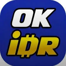 okidr APK Puzzle